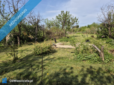 Sprzedam działkę ROD w Świdnicy - Świdnica  -
dolnośląskie Zdjęcie nr 5