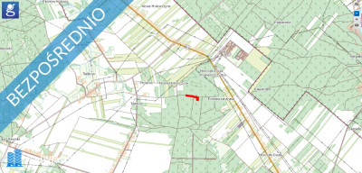 Las działka leśna 075ha sosna 80 lat Terlików - Terlików  -
mazowieckie Zdjęcie nr 4