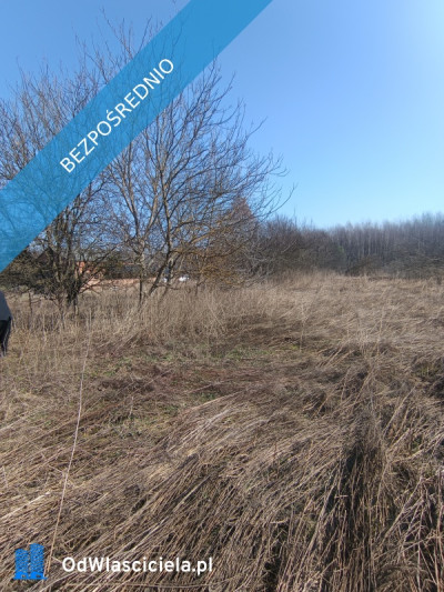 Syndyk sprzeda nieruchomość gruntowa niezabudowana - Jarosławiec - 80 - Jarosławiec  -
lubelskie Zdjęcie nr 3