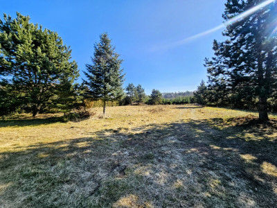 Działka budowlana 8600 m2 w klimatycznej miejscowości  MPZP  Osuchów  Mszczonów - Osuchów  -
mazowieckie Zdjęcie nr 4