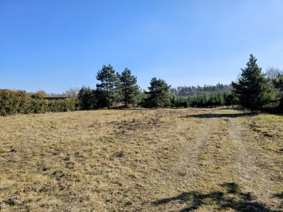 Działka budowlana 8600 m2 w klimatycznej miejscowości  MPZP  Osuchów  Mszczonów - Osuchów  -
mazowieckie Zdjęcie nr 6