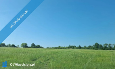2 działki po 30 arów pięknie położone  - Gorzanów  - dolnośląskie
