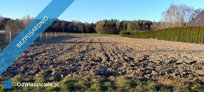 Sprzedam działkę - Trzcianna  -
łódzkie Zdjęcie nr 3