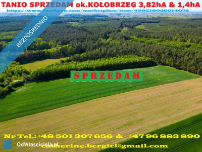 TANIO Działka inwestycyjnabudowlana Na sprzedaż działka rolna o powierzchni 383 ha 38 250 m - Charzyno  -
zachodniopomorskie Zdjęcie nr 2