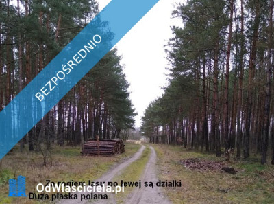 Sprzedam działki w Sosnowcu Wielkim kRynarzewa - Rynarzewo  -
kujawsko-pomorskie Zdjęcie nr 11