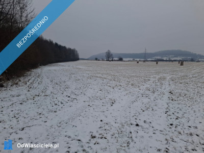 16 ha ziemi Gorzanów   - Gorzanów  -
dolnośląskie Zdjęcie nr 2
