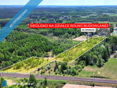 Siedlisko w Suchostrudze koło Tarczyna - Suchostruga  - mazowieckie