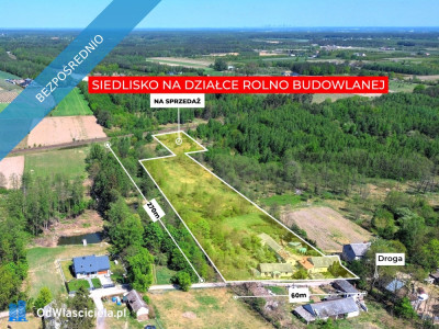 Siedlisko w Suchostrudze koło Tarczyna - Suchostruga  -
mazowieckie Zdjęcie nr 2