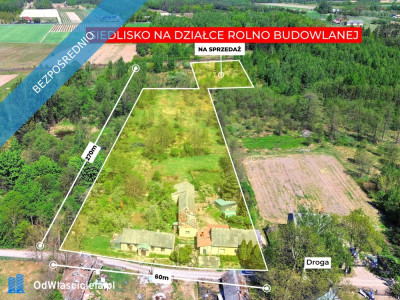Siedlisko w Suchostrudze koło Tarczyna - Suchostruga  -
mazowieckie Zdjęcie nr 3