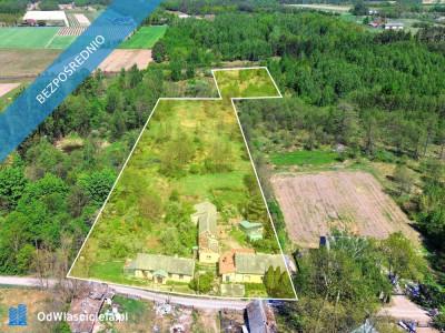 Siedlisko w Suchostrudze koło Tarczyna - Suchostruga  -
mazowieckie Zdjęcie nr 4