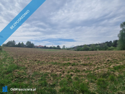 Kompleks 9 działek budowlanych - Dębe  -
wielkopolskie Zdjęcie nr 5