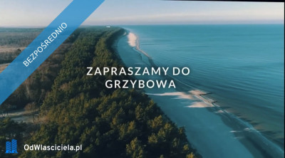 Dzialka w Grzybowie  - Grzybowo  - zachodniopomorskie