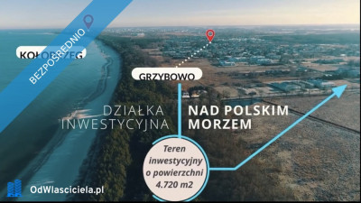 Dzialka w Grzybowie  - Grzybowo  -
zachodniopomorskie Zdjęcie nr 6