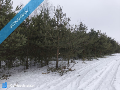 Działka budowlana Maków  Skierniewice - Maków  -
łódzkie Zdjęcie nr 3