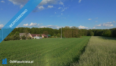 NA SPRZEDAŻ DZIAŁKA 59AR JÓZEFOWO POW SŁUPECKI - Józefowo  -
wielkopolskie Zdjęcie nr 9