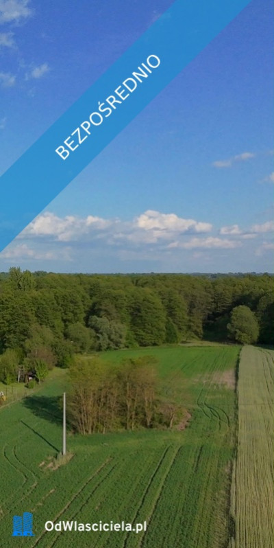 NA SPRZEDAŻ DZIAŁKA 59AR JÓZEFOWO POW SŁUPECKI - Józefowo  -
wielkopolskie Zdjęcie nr 4