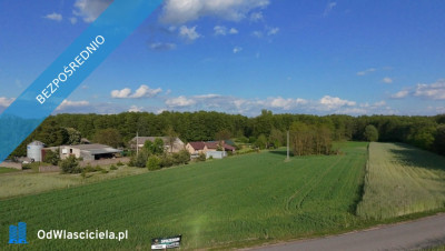 NA SPRZEDAŻ DZIAŁKA 59AR JÓZEFOWO POW SŁUPECKI - Józefowo  -
wielkopolskie Zdjęcie nr 8