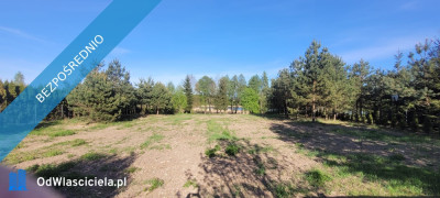 Działka rolno-budowlana z bezpośrednią linią brzegową jeziora - Góry Lubiańskie  -
warmińsko-mazurskie Zdjęcie nr 3