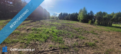 Działka rolno-budowlana z bezpośrednią linią brzegową jeziora - Góry Lubiańskie  -
warmińsko-mazurskie Zdjęcie nr 5