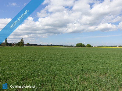 Skoczów Pruchna 115ha pod stadnine zabudowe lux lokalizacja - Skoczów  - śląskie