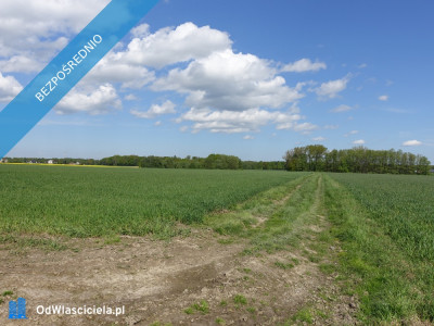 Skoczów Pruchna 115ha pod stadnine zabudowe lux lokalizacja - Skoczów  -
śląskie Zdjęcie nr 4