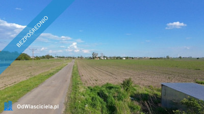 OFERTA SPRZEDAŻY REZERWACYJNEJ DZIAŁEK BUDOWLANYCH  STRZAŁKOWO UL RUBINOWA - Strzałkowo  -
wielkopolskie Zdjęcie nr 3