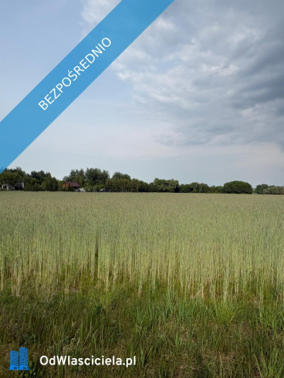 Sprzedam działkę budowlaną 1760m Kownaty gm Płońsk WZ i Media  45 min - Kownaty  -
mazowieckie Zdjęcie nr 13