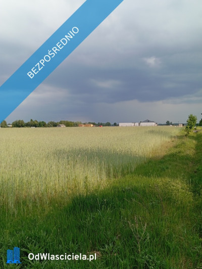 Sprzedam działkę budowlaną 1760m Kownaty gm Płońsk WZ i Media  45 min - Kownaty  - mazowieckie