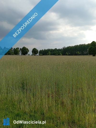 Sprzedam działkę budowlaną 1760m Kownaty gm Płońsk WZ i Media  45 min - Kownaty  -
mazowieckie Zdjęcie nr 2