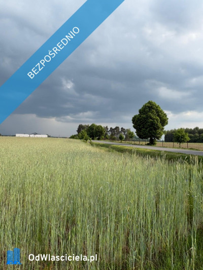 Sprzedam działkę budowlaną 1760m Kownaty gm Płońsk WZ i Media  45 min - Kownaty  -
mazowieckie Zdjęcie nr 4
