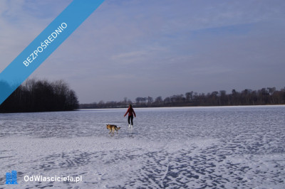 Uzbrojona działka do zabudowy z własną linią brzegową - Orle  -
kujawsko-pomorskie Zdjęcie nr 9