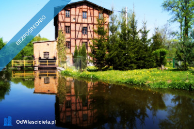 Uzbrojona działka do zabudowy z własną linią brzegową - Orle  -
kujawsko-pomorskie Zdjęcie nr 7