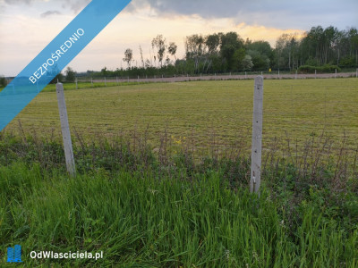 Działka na sprzedaż  - Witoldów  -
mazowieckie Zdjęcie nr 2