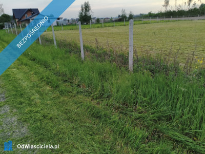 Działka na sprzedaż  - Witoldów  -
mazowieckie Zdjęcie nr 3