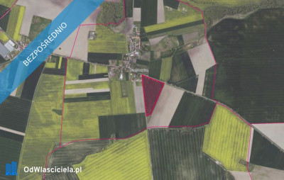 Kompleks działek w Szymanowicach - Szymanowice  -
dolnośląskie Zdjęcie nr 2