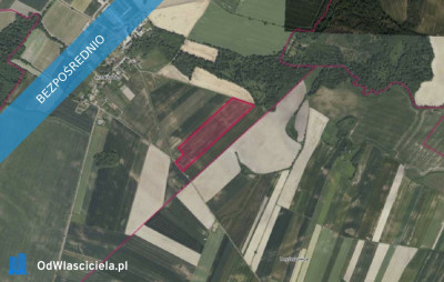 Kompleks działek w Jarząbkowicach - Jarząbkowice  -
dolnośląskie Zdjęcie nr 2
