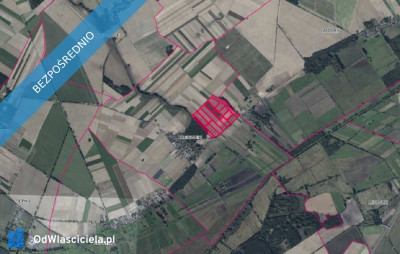Kompleks działek w Łagiewnikach - Łagiewniki  -
wielkopolskie Zdjęcie nr 2