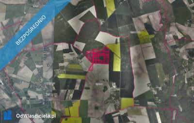 Kompleks działek w Żydowie - Żydowo  -
wielkopolskie Zdjęcie nr 2