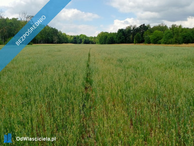 Sprzedam działkę budowlano-rolną - Bereza  -
lubelskie Zdjęcie nr 2