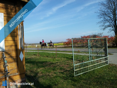 Sprzedam działkę budowlano-rolną - Bereza  -
lubelskie Zdjęcie nr 7