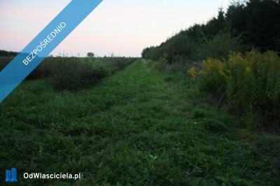 Działka 246 ha k Mszczonowa z warunkami na bud mieszkalny - Karnice  -
mazowieckie Zdjęcie nr 3