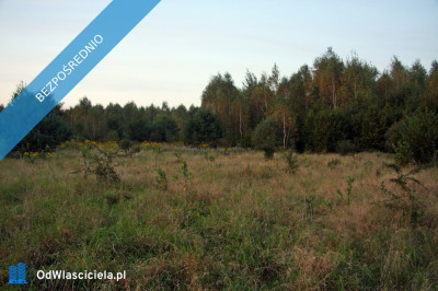 Działka 246 ha k Mszczonowa z warunkami na bud mieszkalny - Karnice  -
mazowieckie Zdjęcie nr 5