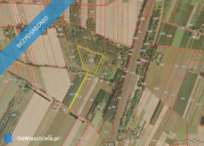 Działka 246 ha k Mszczonowa z warunkami na bud mieszkalny - Karnice  -
mazowieckie Zdjęcie nr 6