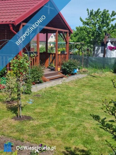 Działka ROD 5 min do plaży - Gdynia  -
pomorskie Zdjęcie nr 9