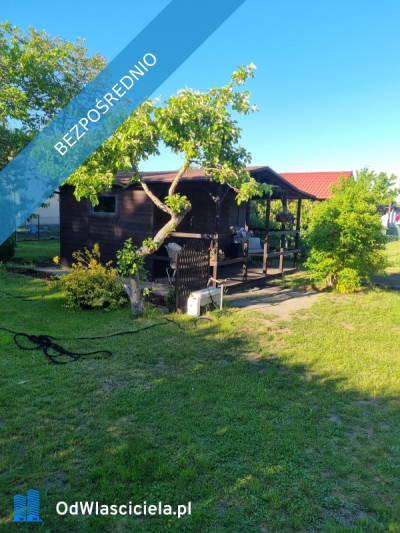 Działka ROD 5 min do plaży - Gdynia  -
pomorskie Zdjęcie nr 5