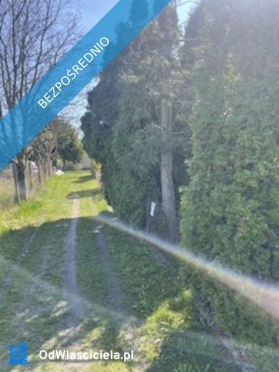 Sprzedam działke w ROD Relax Szałe - Szałe  -
wielkopolskie Zdjęcie nr 2