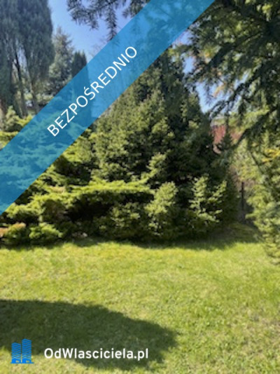 Sprzedam działke w ROD Relax Szałe - Szałe  -
wielkopolskie Zdjęcie nr 3