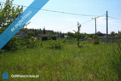 Działka na skraju Puszczy Kampinoskiej Nowe Grochale - Nowe Grochale  -
mazowieckie Zdjęcie nr 3