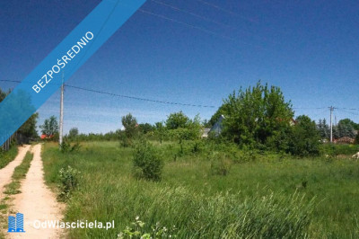 Działka na skraju Puszczy Kampinoskiej Nowe Grochale - Nowe Grochale  -
mazowieckie Zdjęcie nr 4