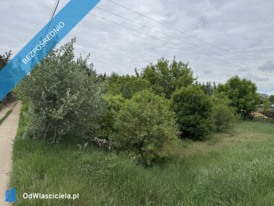 Działka na skraju Puszczy Kampinoskiej Nowe Grochale - Nowe Grochale  -
mazowieckie Zdjęcie nr 6
